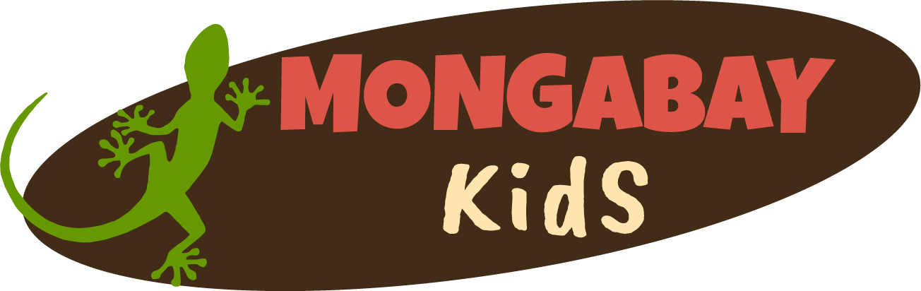 mongabay