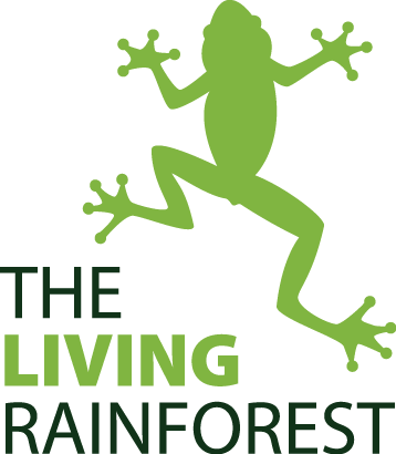 rainforest wiki-logo